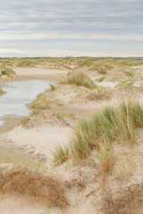 Fototapeta na wymiar Vertical background with sand dunes, beach and beach grass alog the North Sea coast of he Netherlands