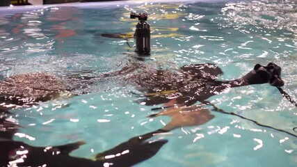 Underwater photography. The girl takes off the aqua trainer for classes in the pool