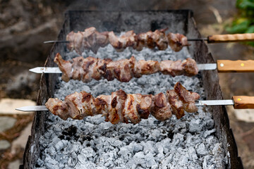 Mouth- watering skewers of pork with a toasted Golden crust and smoke flavor. Barbecue with coals in the yard in nature with cooked meat on skewers