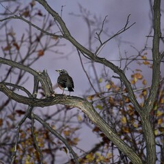 Isn’t  this jist like a painting?