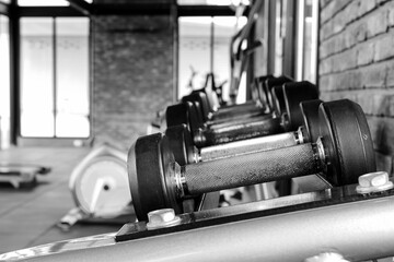 Dumbbell on the shelf in the fitness