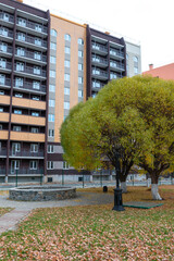 trees standing in front of a multi-storey building