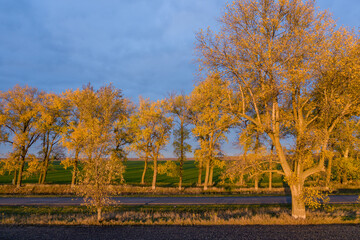 Autumn landscape with road and beautiful colored trees at the sunset aerial view.