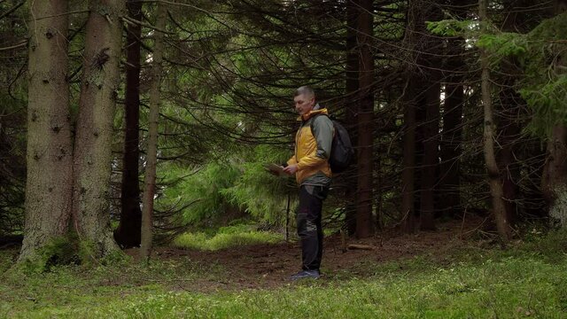 Traveller with a map in a beautiful forest. Travel concept. Carpathian mountain range. Ukraine. 4K