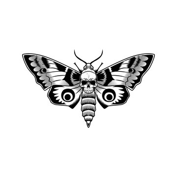 Moth with skull vector illustration. Monochrome butterfly with death symbol. Insect or gothic culture concept emblems and tattoo templates