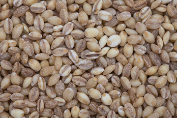 Top view of barley background image