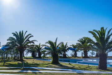 海辺のガーデン