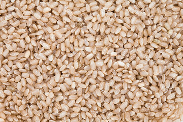 Top view of Brown rice, unpolished rice background