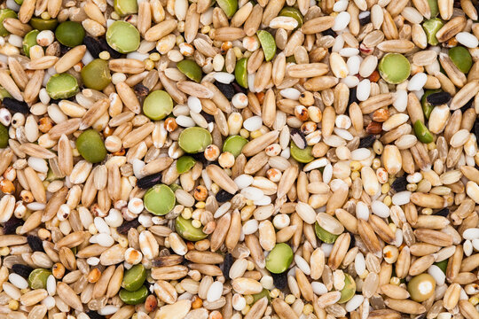Top view of Miscellaneous grains background image