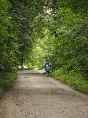 Obraz premium Radfahrer