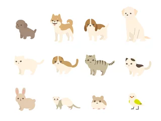 Stickers meubles Zoo ペット　動物のベクターイラストセット　犬、猫、兎、小動物