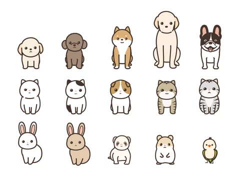 ペット 動物のベクターイラストセット 正面 犬 猫 うさぎ フェレット ハムスター 小鳥 Stock Vector Adobe Stock
