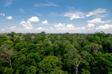 Jardim Botânico MUSA Manaus AM