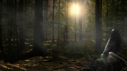 A enchanted forest in the fog and morning sun