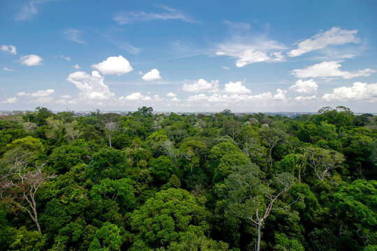 Jardim Bot&acirc;nico MUSA Manaus AM