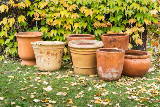 Autumn cleanups empty flower pots in the garden