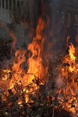 Pożar , Płonie las  , Pożar lasu , styrta się pali ,ogień, płomieni, ognisko, ciepło, oparzenia, gorąco, gorąca, noc, ognisko, czerwień, drewna, płomieni, pomarańcz, iskra
