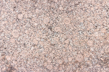 Texture of motley granite gray and red slab.