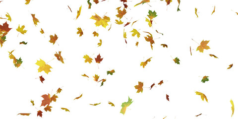 falling maple leaves of different colors isolated white. 3D illustration - obrazy, fototapety, plakaty