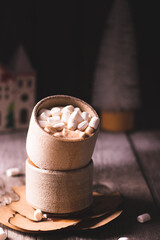 Cup of cocoa with marshmallow