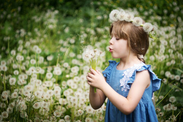 a little blonde girl in a blue dress in a field of white dandelions with a dandelion wreath on her head
