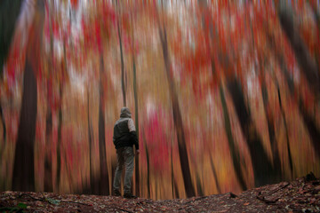 person in magic forest