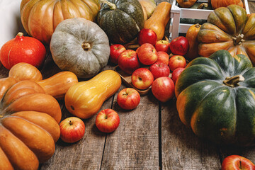 Colorful autumn background with pumpkins and apples