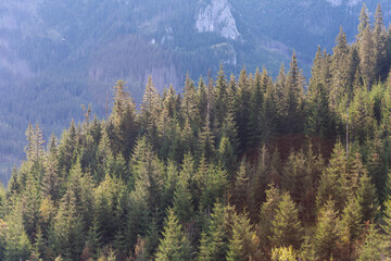 Landscapes with a tourist on a background of mountains and lakes with evening lighting