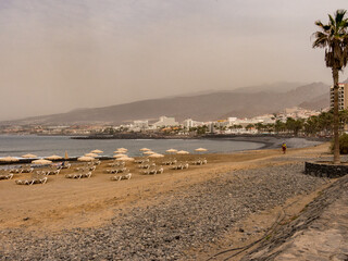 Las americas empty beach with sun loungers, Las Americas, Teneriffe, Spain