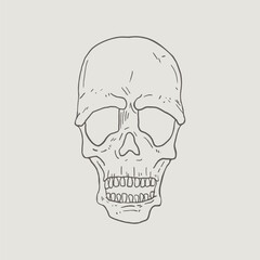 Design of skull hand draw