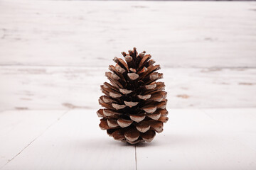 Brown pine cone on white wooden background.