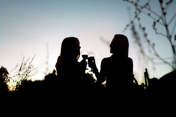 Two silhouette girls drinking wine. Female friends having a picnic and cheering in a field