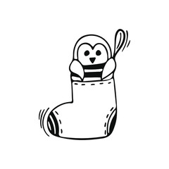 Hand-drawn little penguin doodle. Penguin in a Christmas sock isolated on white background. Vector illustration