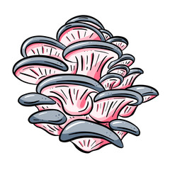 Fun Cartoon Mushroom Toadstool Character Vector Illustration