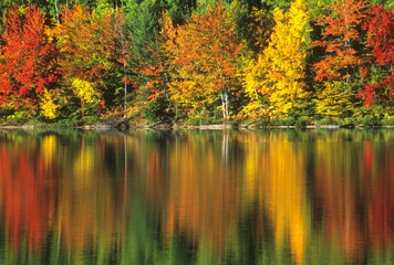 463-45 Moccasin Lake Fall Reflections