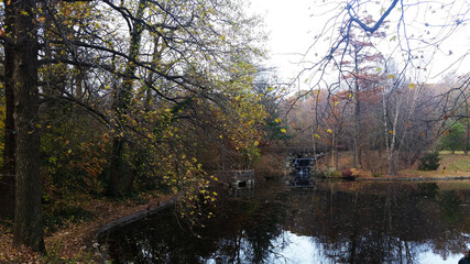 Brooklyn Park in the fall. Trees in the Park in autumn. Bridge over the river.