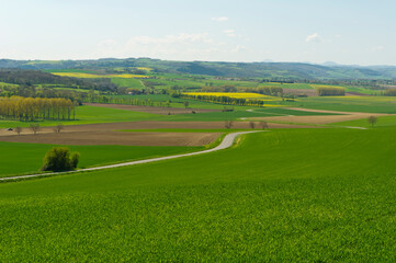 Obraz premium Fields, hamlets and buildings near Charroux, Allier Auvergne France