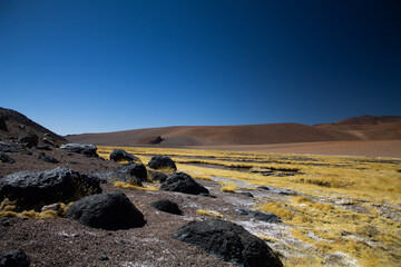 The chilean Altiplano 