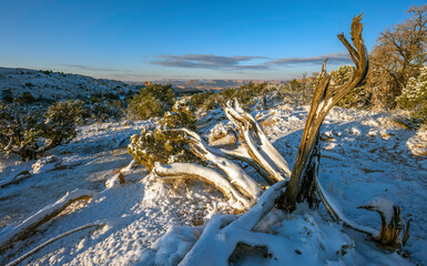 Cold Utah Landscape - Canyonlands National Park