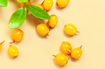 Fresh ripe sea buckthorn, green barberry leaves on beige background close-up. Background of ripe berries. Macro photography. Fruit organic background. Healthy food, vitamin berry