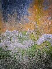 green moss on a very old wall creating beautiful texture of blue ,white ,green and orange color -a vertical photo with space to write your text 