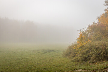 Obraz na płótnie Canvas Foggy autumn morning at Spring Aranyoslapi in City Zalaegerszeg, Hungary
