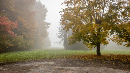 Foggy autumn morning at Spring Aranyoslapi in City Zalaegerszeg, Hungary