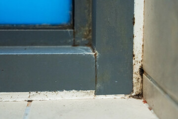 Old plastic window frame in the shower. Moldy angle, fungus. Problem areas shower.