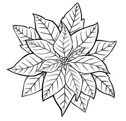 Poinsettia Flower. Contour image isolated on white background. - 392286102