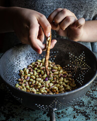 bowl of shelled beans