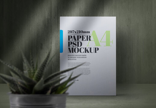 Paper and Cactus Scene Mockup