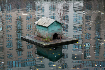 Old green duck house