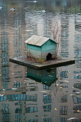 Fototapeta na wymiar Old green duck house