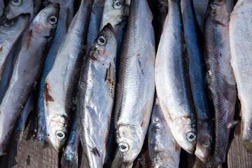 Many small sea fish lie on a rough wooden Board. Food sea background.